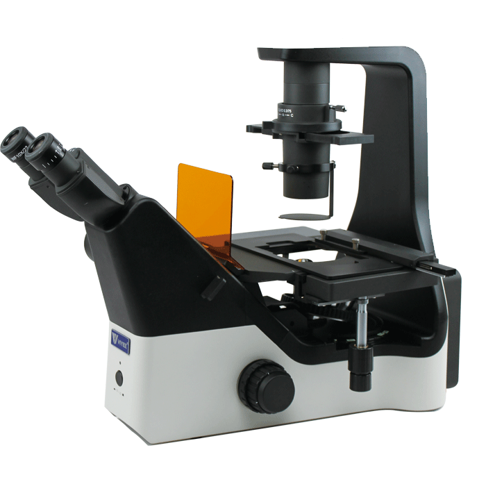 1650115317904474.png WYS-41XDY.png