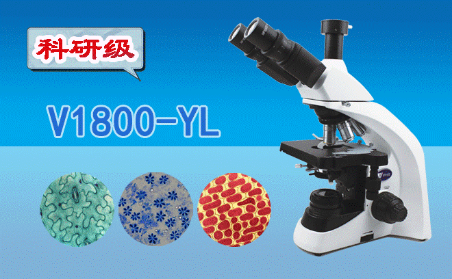 1718259937123786.png 醫(yī)用顯微鏡.png